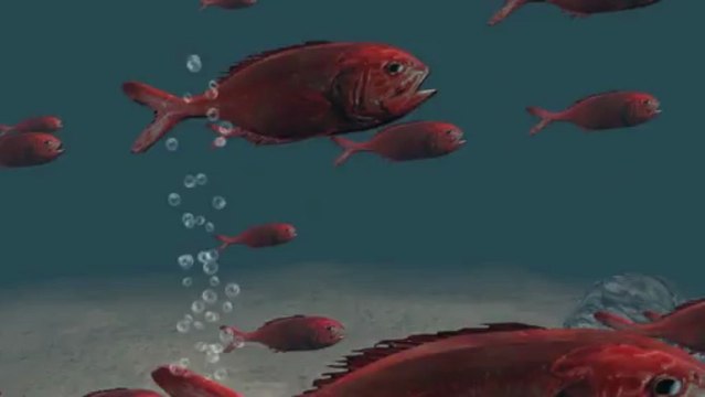 La pêche en eaux profondes