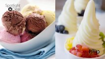 BTR Spotlight Deal: Ice Cream and Sorbet Maker, Cuisinart Frozen Yogurt!