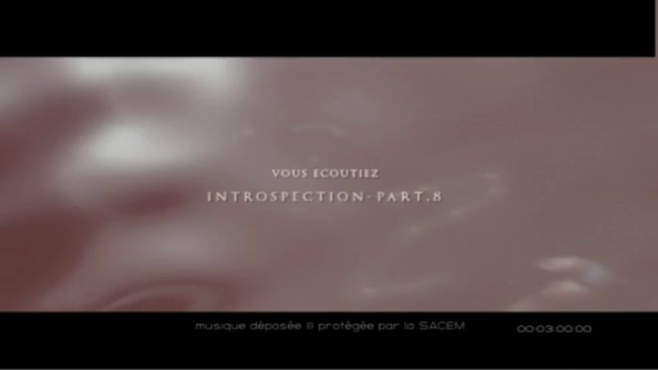 Introspection-part.8