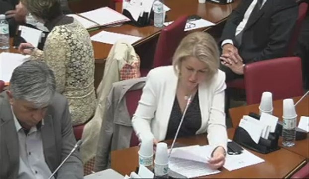 Intervention en commission sur le mode de désignation à la tête des grandes institutions culturelles. 5/06/13.