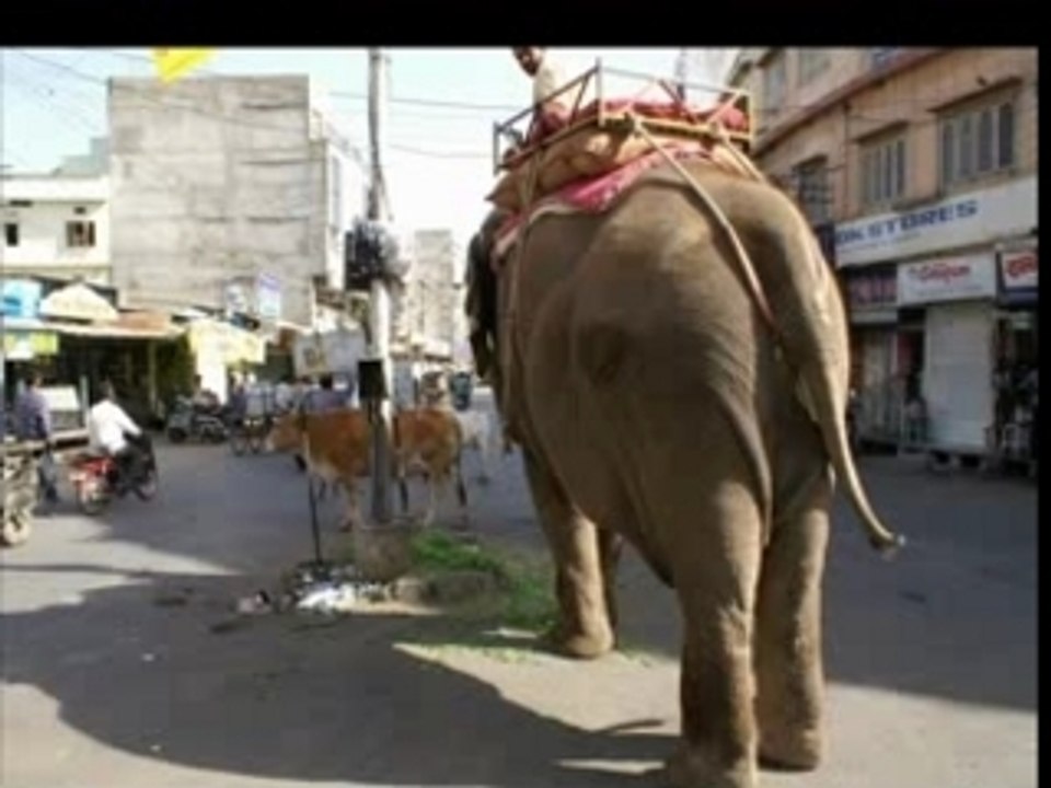 Voyage en Inde Avril 2006