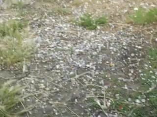 Fındık Tanesi Büyüklüğünde Dolu Yağdı - YALOVA