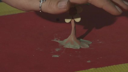 Stop Motion Flower Animation