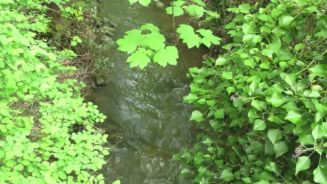 Eaux vives, eaux mortes.