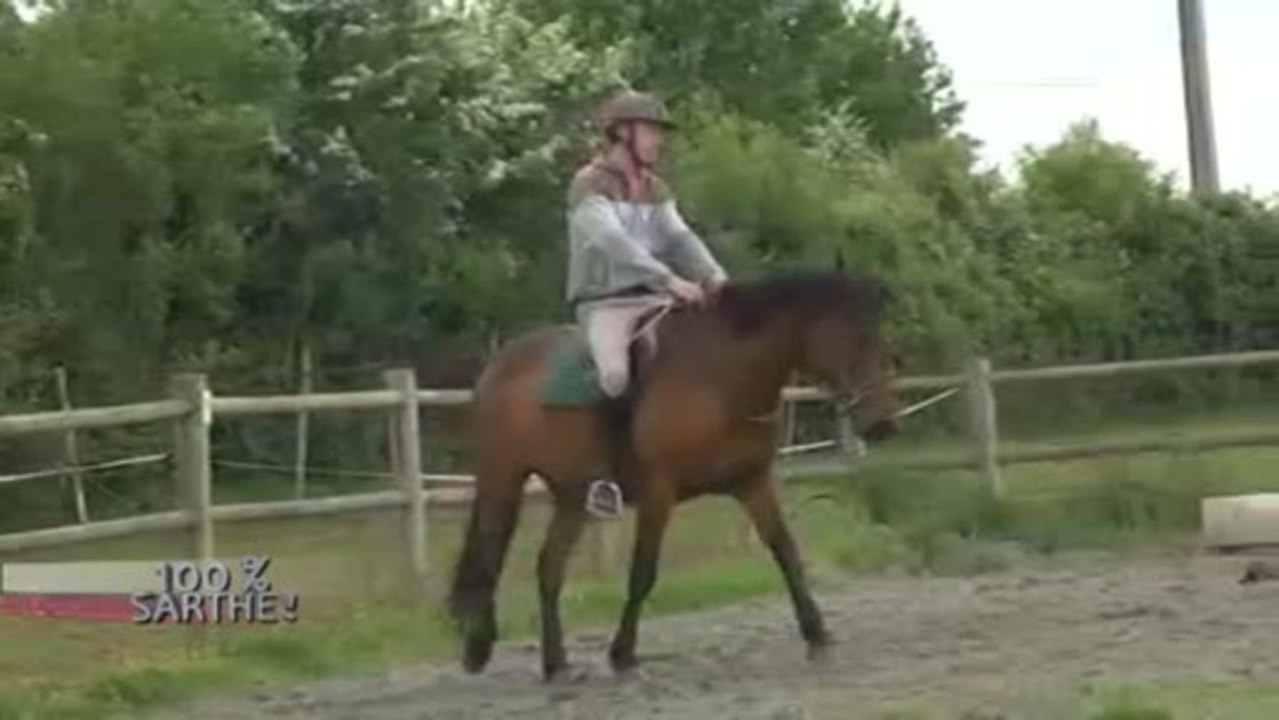 100% Sarthe : Ferme Equestre du Mont Cruchet (Ruillé)