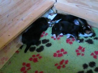 Je veux pas rester tout seul moi...