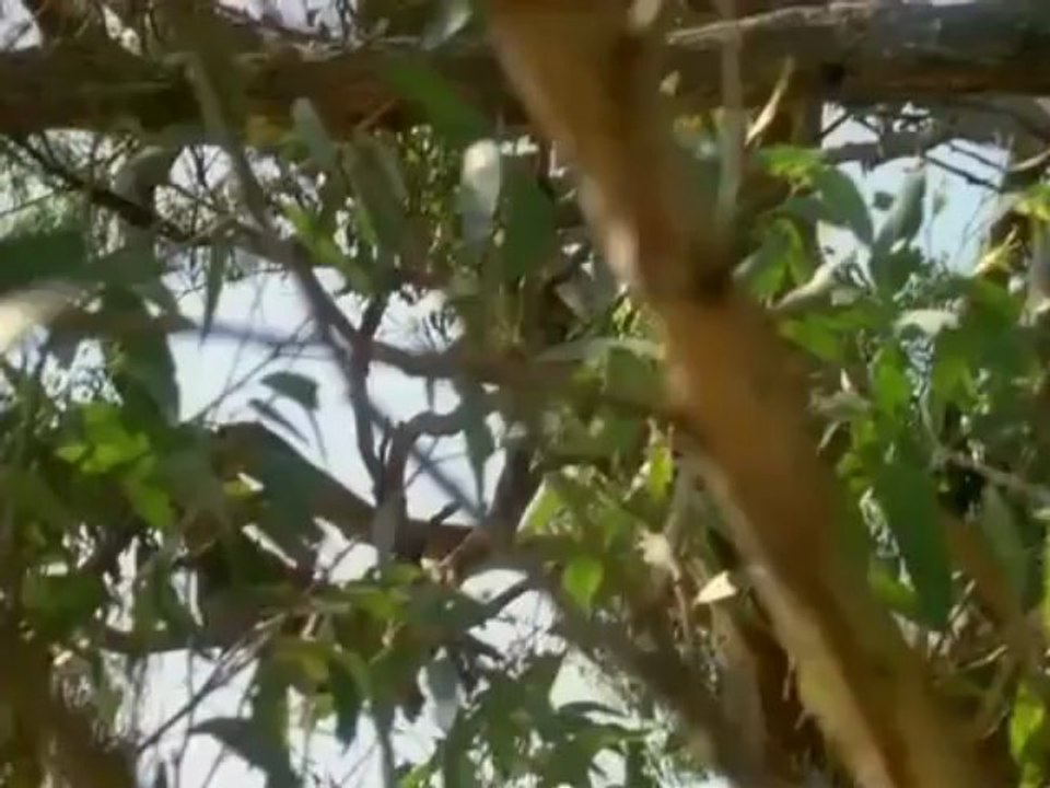 Spellbinder Season 2, Episode 1 - The Trans-Dimensional Bamboo Boat