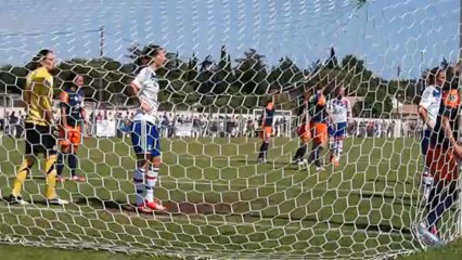 MHSC  vs  OL Coupe de France 1/2 finale rejouée 05 06 2013 a Pérols