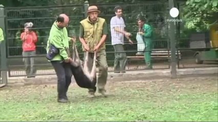 Orta Avrupa'yı sel götürdü