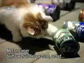 VEFALIDOSTLAR.COM vefalı dostlar video izle - Amatör - Mynet - Video