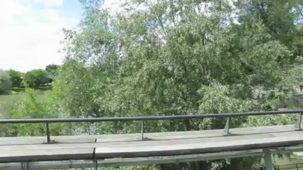 ainsi coulait la Marne ...toujours dans le même sens...