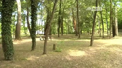 STUPRI IN RIVIERA DEL BRENTA, UN FERMATO