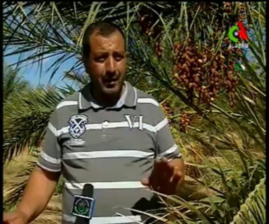 Visite du Ministre de l'Agriculture à la wilaya de khenchela