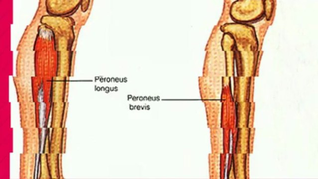 Podiatrist - Ocean Reef WA | (08) 9300 6222