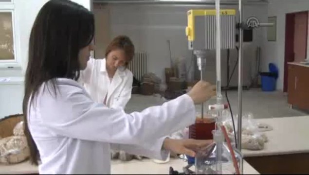 Ormanları bor koruyacak