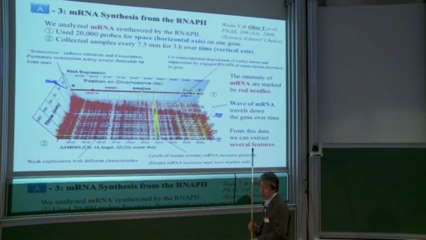 Modeling and Simulation for Gene Transcription (Sigeo Ihara)