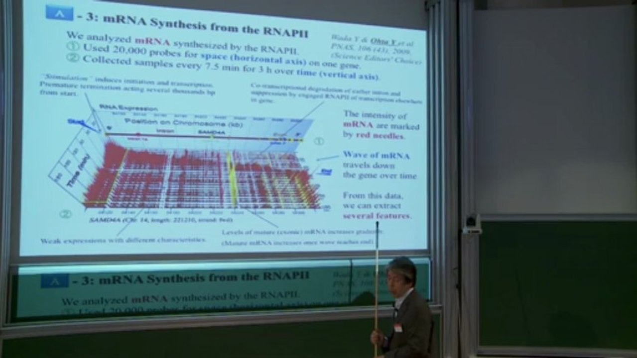Modeling and Simulation for Gene Transcription (Sigeo Ihara)