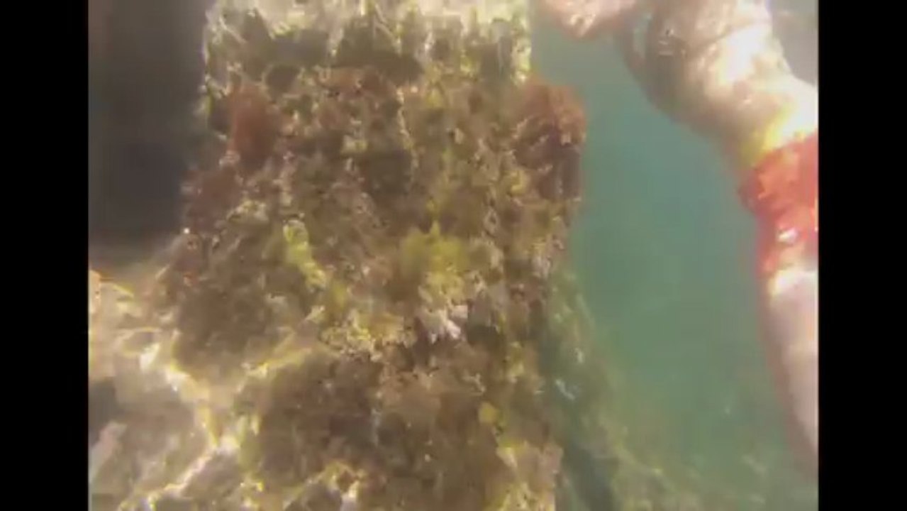 Calanques Cassis .