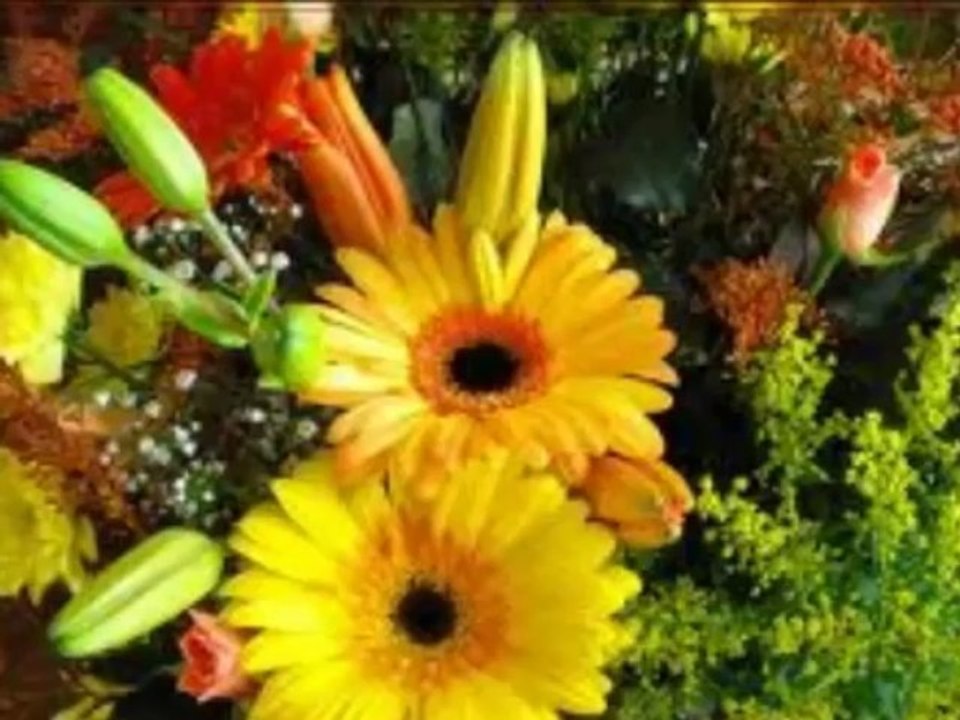 LE BANC DES ACCUSÉS