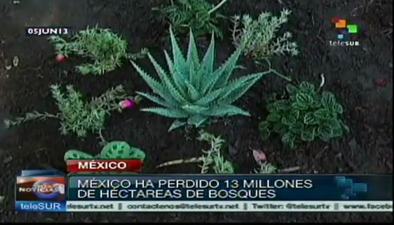 México conmemora el Día Mundial del Medio Ambiente