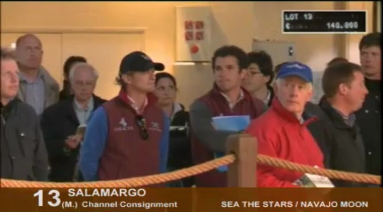 Lot 1 à 30 - Vente Breeze up Arqana - St Cloud 2013