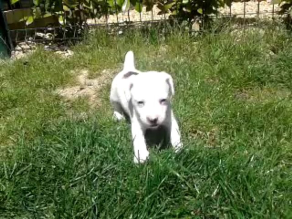 video-2013-05-26-15-22-20