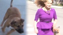 Aggressive Reporter Chased Off by Pit Bulls