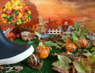 Jardin aux quatre saisons