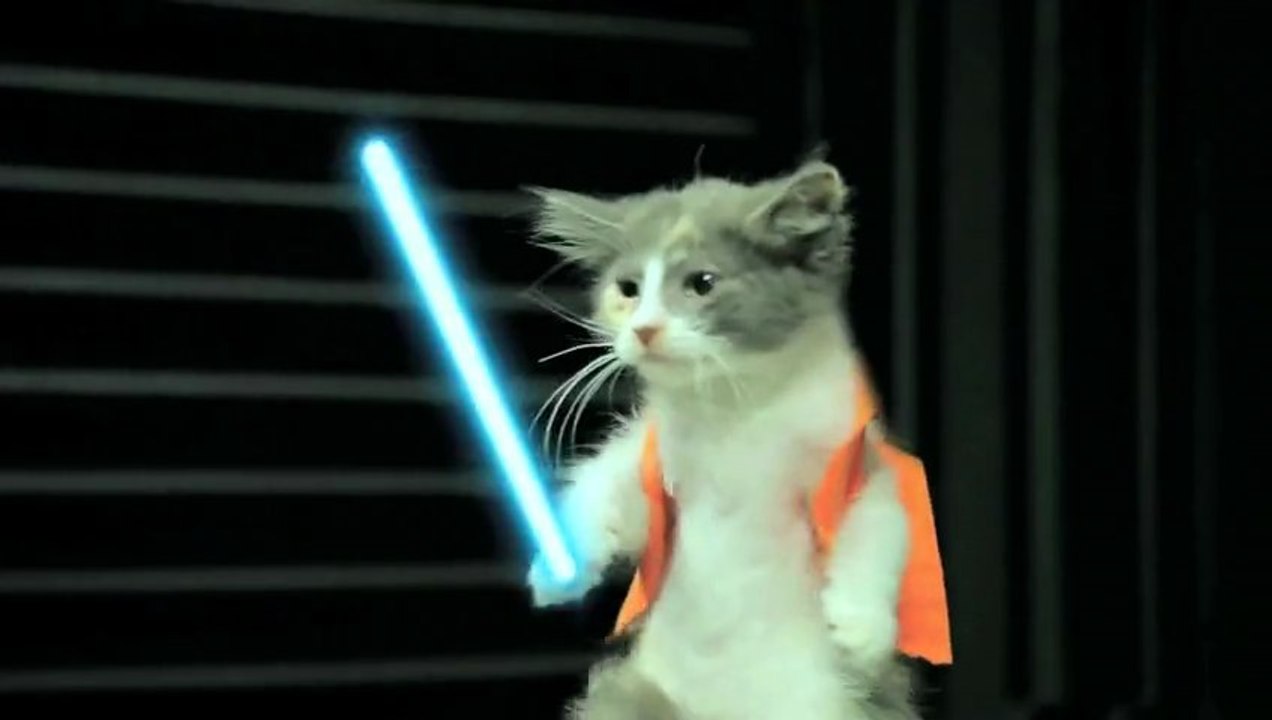 Jedi Kittens Strike Back