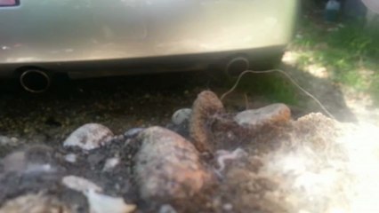 echappement stock 350z