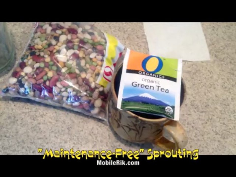 Sprouting Beans - Easiest Method - Use Green Tea!