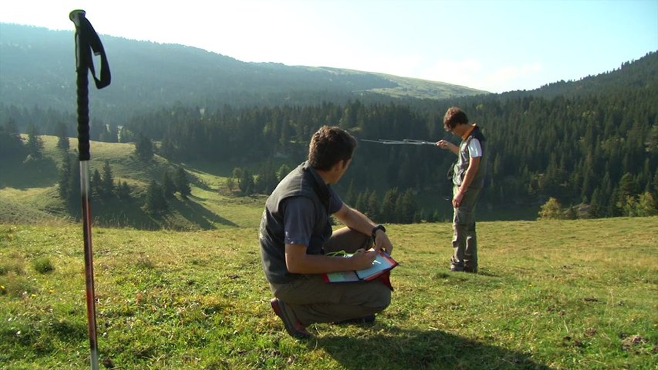 Le retour du Bouquetin en Chartreuse