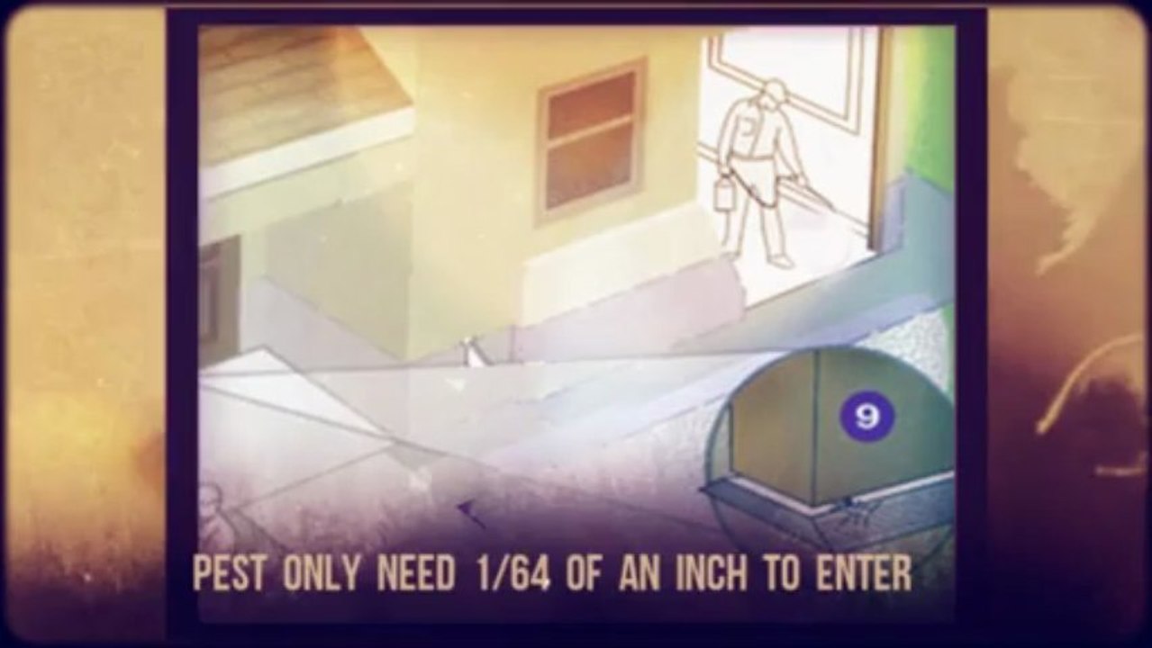 Pest Control Service Providers | EcoShield Pest Control Call (800) 273-3572