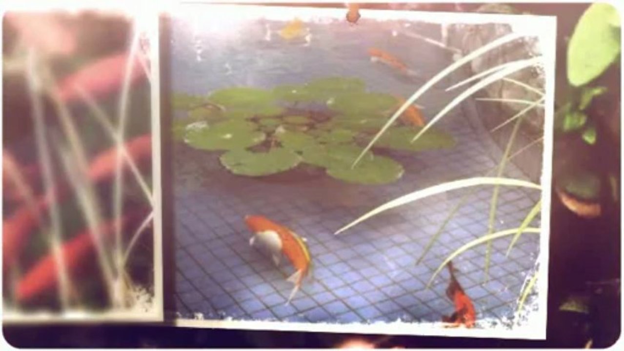 Orange County Garden Ponds And Waterfalls