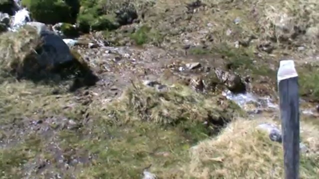 Un névé sur les crêtes Vosgiennes début juin 2013