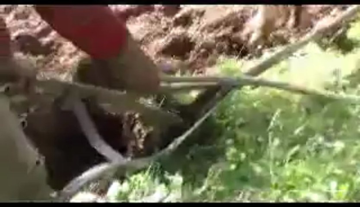 UNE TRADITION QUI DISPARAIT