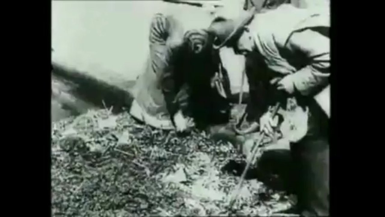 7.The Battle of Jutland