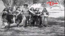 Jyothi Songs - Neeku Naaku Pellanta - Jayasudha - Murali Mohan