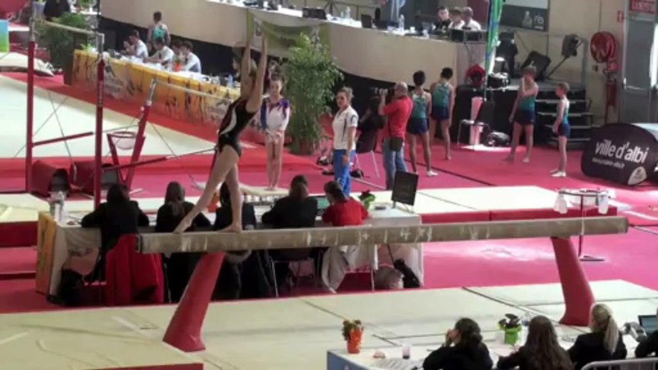 Championnat de France et Coupe de France de gymnastique, Albi 2013.