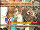 Heavy flow of devotees at Tirumala