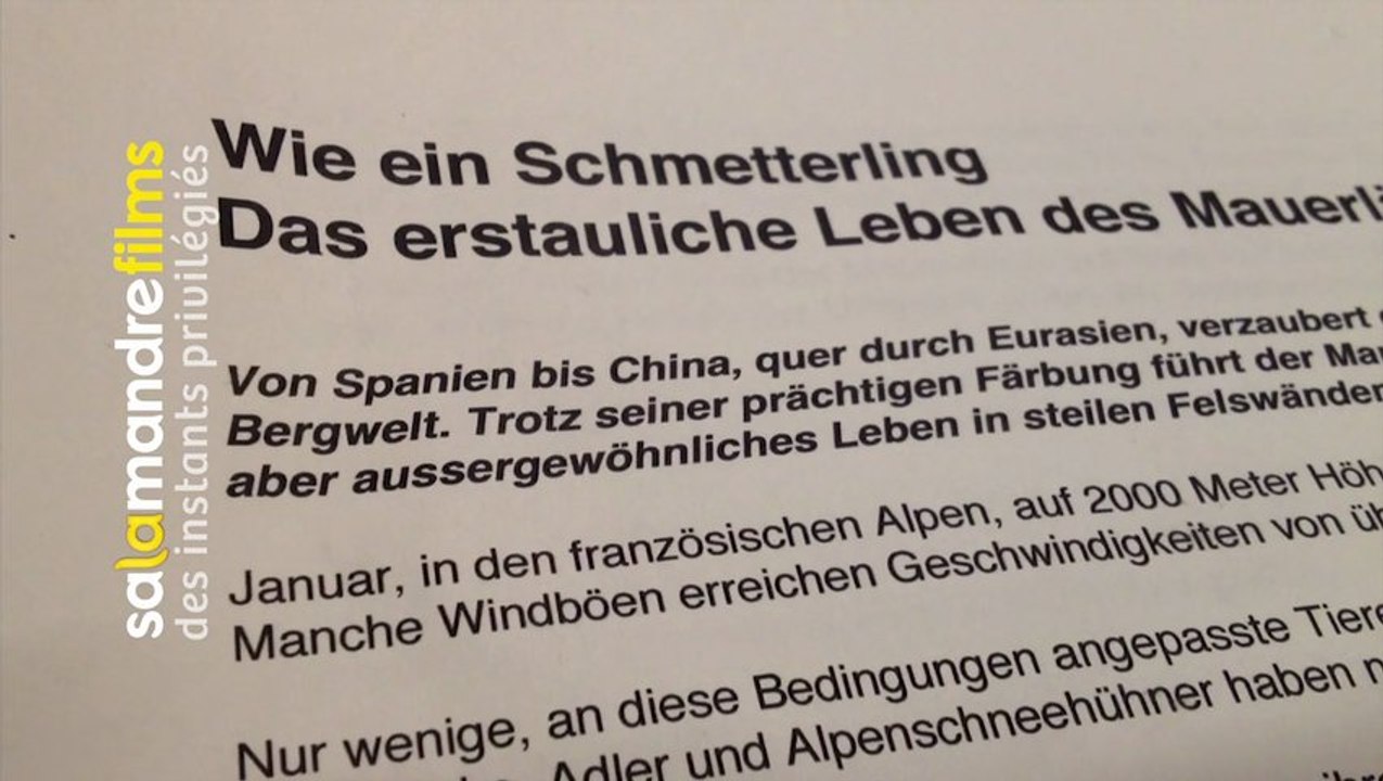 Le tichodrome en allemand!