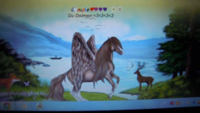 Mes meilleurs chevaux sur Equideow