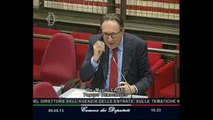 Roma - L'audizione del direttore dell'Agenzia delle entrate Attilio Befera (06.06.13)