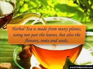 Types of Herbal Tea 🌿