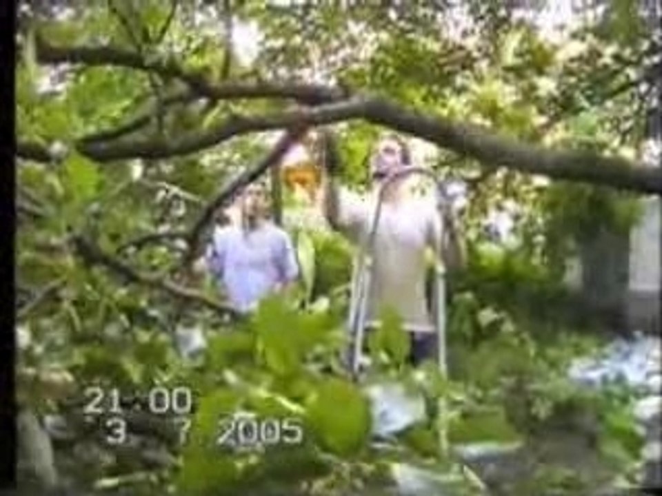 régis coupe une branche