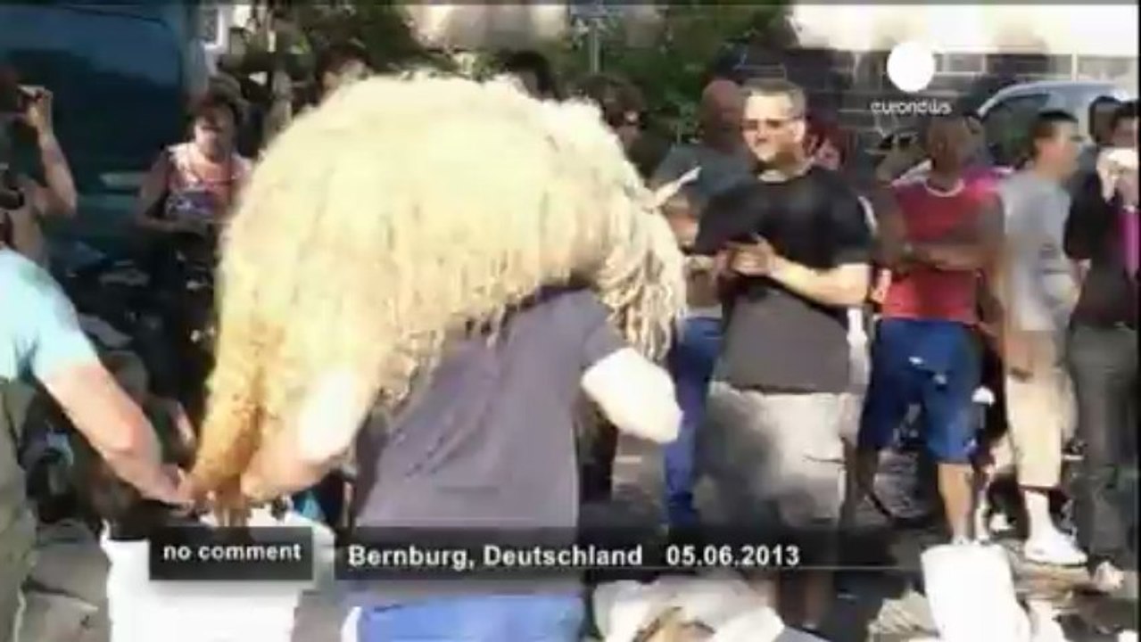 Inondations : évacuation du  zoo de Bernburg - no comment