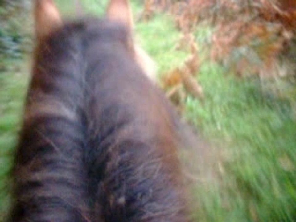 pp 018(film galop)