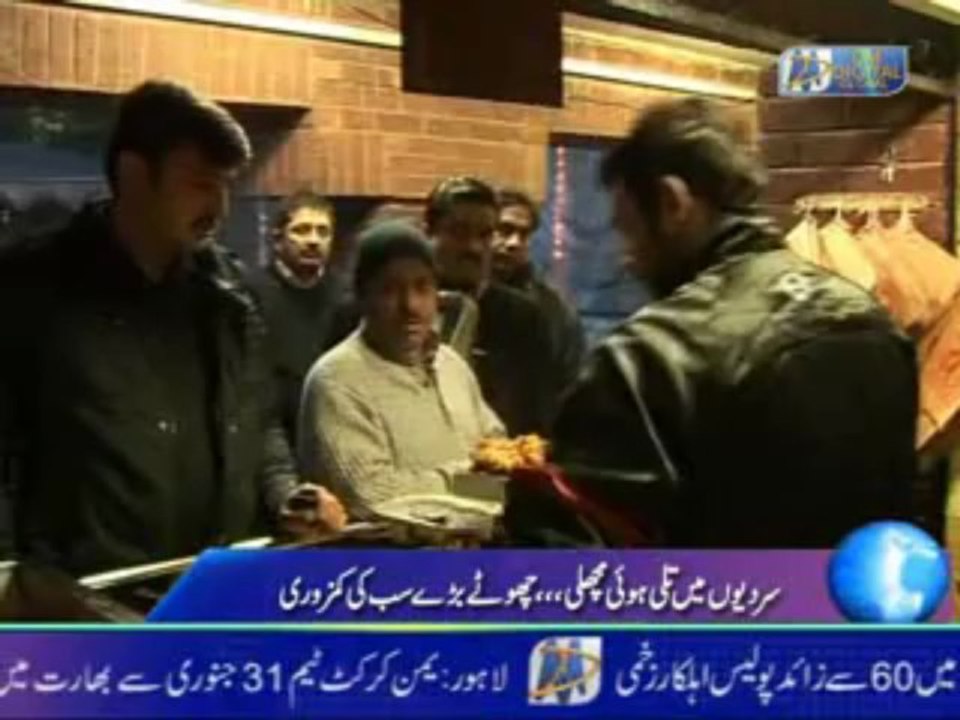 Fish Shakir Report Final_xvid