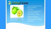 What is Natural Garcinia Cambogia HCA