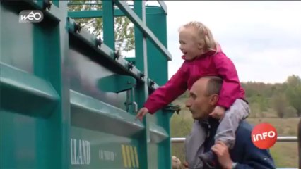 Eco-paturage : nouvelle façon de tondre